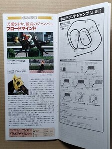 競馬 JRA レープロ20010414中山グランドJ ゴーカイ/サウスヴィグラス/Mブロードマインド Sアグネスタキオン ダンツフレームNエアシャカール