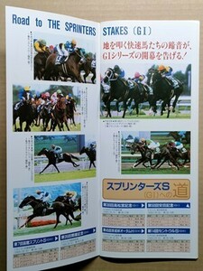 競馬 JRA レープロ20000930中山 アグネスデジタル/ヒルノダムールの母/Hタイキシャトル シンコウウインディ Sキングヘイロー Nヒシアケボノ