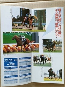 競馬 JRA レープロ981219中山大障害秋 ビクトリーアップ /Sマサラッキ タイキシャトル エアジハード マイネルラヴ ロイヤルスズカ