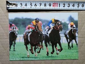 競馬 絵はがき 非売品ポストカード JRA アグネスフライト 日本ダービー（横エアシャカール）