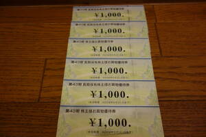 匿名配送無料　ビックカメラ　株主優待　株主様お買物優待券　1000円×6枚＝6000円　使用期限2024年5月31日