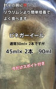 メダカ 針子 稚魚の餌に！！ ビネガーイール 種水　通常の1.5倍量45ml+45ml(合計90ml) 培養液　今だけスポイト付き