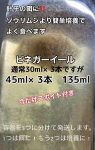 メダカ 針子 稚魚の餌に！！ ビネガーイール 種水　通常の1.5倍量45ml×3本(合計135ml) 培養液　今だけスポイト付き