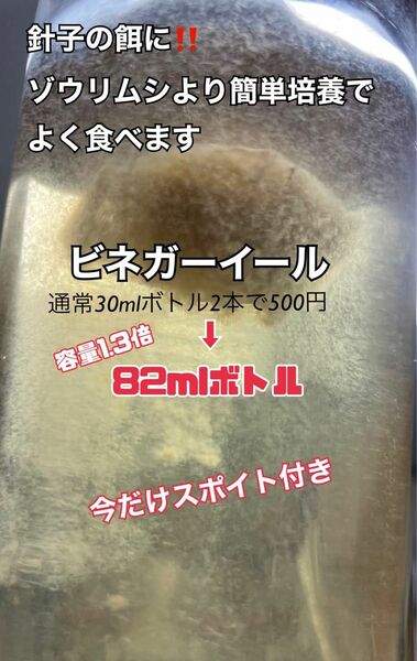 メダカ 針子 稚魚の餌に！！ ビネガーイール 種水　通常の1.3倍量82mlボトル培養液　今だけスポイト付き