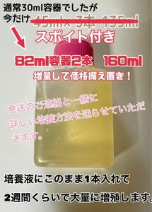 メダカ 針子 稚魚の餌に！！ ビネガーイール 種水　通常の1.7倍量82ml×2本(合計160ml) 培養液　今だけスポイト付き