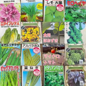 【4月がまきどき！野菜とハーブ　5種】この中から5種類選べます♪