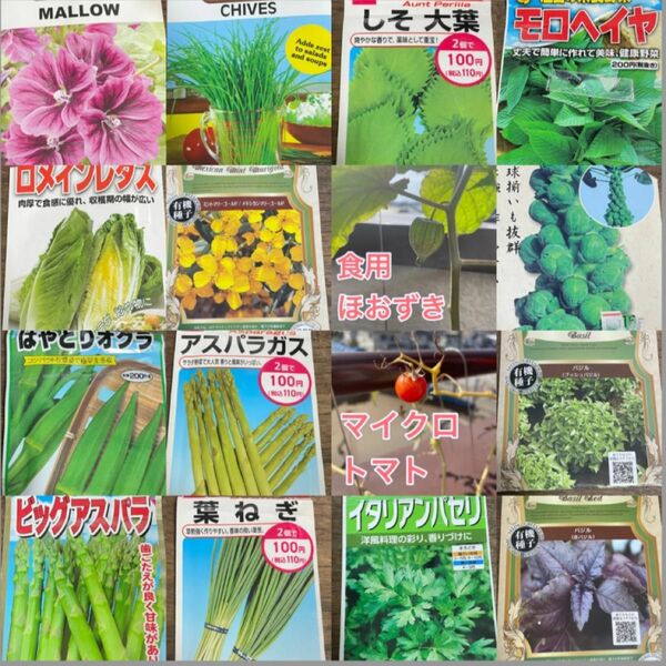 【4月がまきどき！野菜とハーブ　2種】この中から2種類選べます♪