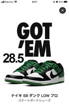 28.5 cm / Nike SB Dunk Low Pro Black and Classic Green / ナイキ SB ダンク ロー プロ ブラック アンド グリーン / ダンクロー エスビー_画像1