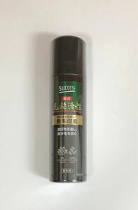 花王 サクセス薬用毛髪活性 無香料185g