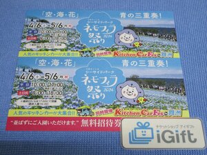 普通郵便無料★ネモフィラ祭り 2024 無料招待券×2枚セット (定価3000円) 2024.5.6まで / 大阪舞洲シーサイドパーク★ #1007