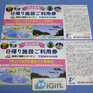 普通郵便無料★藤田観光 ペア 日帰り施設利用券×2枚セット (ユネッサン/下田海中水族館) 2024.9.30まで★ #2382・ピンクの画像1