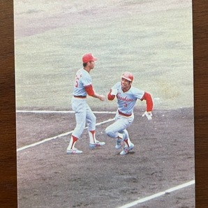 カルビープロ野球カード "79 衣笠祥雄の画像1