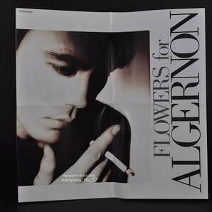 角丸 帯付 旧規格盤☆ 氷室京介 Flowers For Algernon / フラワーズ フォー アルジャーノン■88年盤 1st アルバム CD CT32-5300 美品!!の画像8