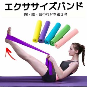 エクササイズバンド トレーニングチューブ ヨガバンド 男女兼用 筋トレ