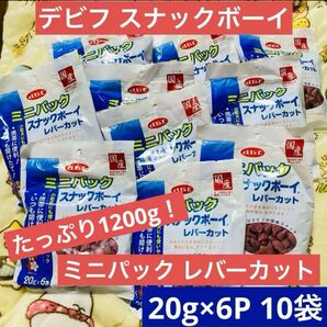 デビフ　ミニパック　スナックボーイ　レバーカット２０ｇ×６Ｐ　10袋セット　大袋