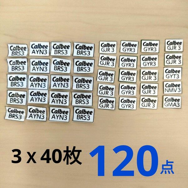 カルビー Calbee ★ファンタスティックキャンペーン2024★応募券120点分＋専用応募ハガキ4枚♪