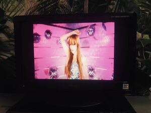 ＢｅＬｓon液晶テレビ １９型 ２０１１年製 ＤＳ１９-１１Ｂ　リモコン Ｂ-ＣＡＳカード