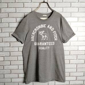 Abercrombie&Fitch☆アバクロンビーアンドフィッチ　MUSCLE　マッスル　Tシャツ　半袖　ビッグロゴ　刺繍　グレー　白　Ｍ