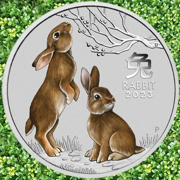 ☆新品 2023 年 干支 『ウサギ 兎 卯年』 カラー 未使用 大型 オーストラリア 銀貨 1oz 1 オンス 純銀 カプセル入