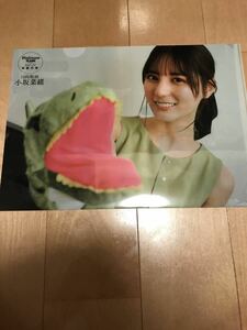 日向坂46　Platinum FLASH Vol.24　小坂菜緒 クリアファイル