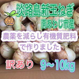 【9】淡路島新玉ねぎ 南あわじ市産 訳あり 9〜10kg