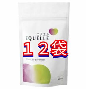 大塚製薬エクエル　120粒　12袋セット　 エクエル