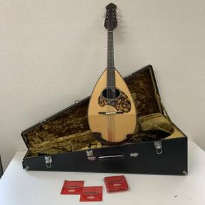 [Gt6]... confidence man gong ..1994 year made mandolin stringed instruments hard case pick 1714-82