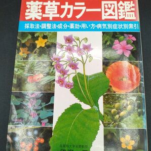 主婦の友社 続 薬草カラー図鑑 伊沢一男 著