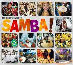 Beginner's Guide to Samba(中古品)