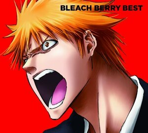 BLEACH BERRY BEST(DVD付)(中古品)