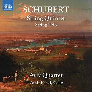 String Quintet/String Tri(中古品)