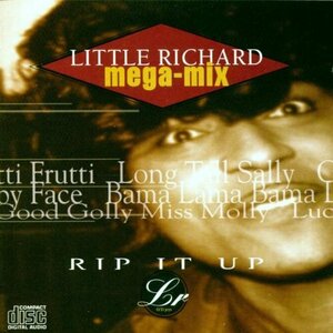 Rip It Up - the Little Richard Megamix(中古品)