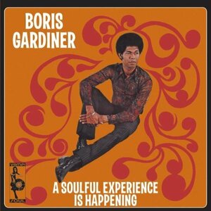 A Soulful Experience Is... [12 inch Analog](中古品)
