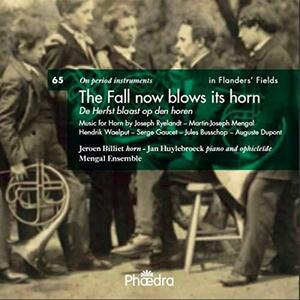 Fall Now Blows Its Horn(中古品)