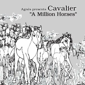 A Million Horses [12 inch Analog](中古品)