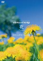 virtual trip　花　Flowers　四季の山野草と高山植物 [DVD](中古品)_画像2
