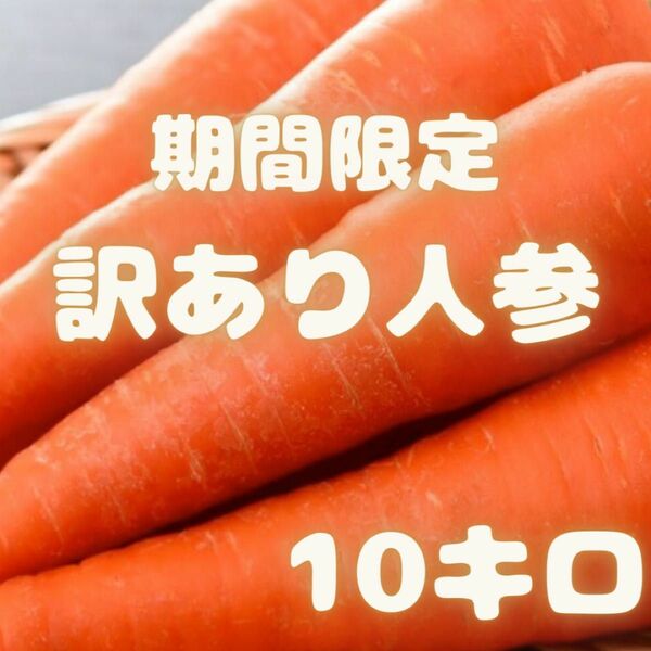 期間限定販売　にんじん　人参　訳あり　13