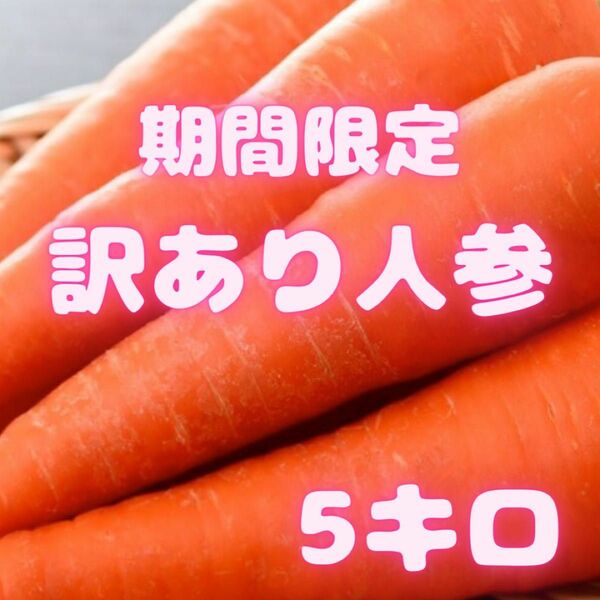 期間限定販売　にんじん　人参　訳あり　16