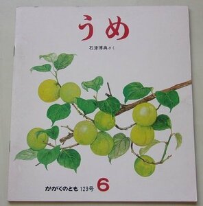 うめ　石津博典(作)　かがくのとも　123号　1979年6月号