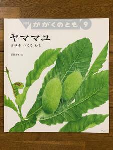 かがくのとも★618号　ヤママユーまゆを つくる むしー★岩渕真理　さく