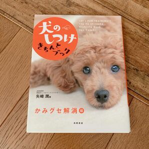 犬のしつけきちんとブック　Ｌｅｔ’ｓ　ｆｕｎ　ｔｒａｉｎｉｎｇ！！　かみグセ解消編 矢崎潤／著