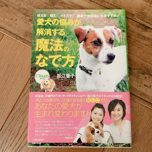 愛犬の悩みが解消する魔法のなで方　Ｔ　Ｔｏｕｃｈ　吠える　噛む　イタズラ！腫瘍や関節痛にもおすすめ！！ 松江香子／著