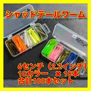 【新品・送料無料】シャッドテールワーム　100本セット　6センチ　ケース付　バス釣り　アジング　ワーム　ルアー　ジグヘッド