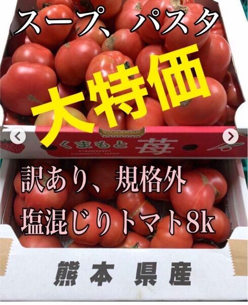 八代産　塩混じりトマト　海のめぐみトマト　濃厚　スープ最高 八代産（農家直送）訳あり塩混じりトマト約8kg（送料無料）