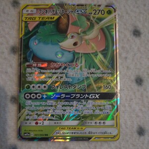 ポケモンカード SM11a ☆ フシギバナ&ツタージャGX ☆ TAG TEAM フシギバナ ツタージャ GX かがやくつる ☆ リミックスバウト