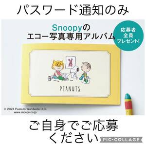  for the first time. Tama . Club Snoopy eko - photograph album application person all member present password .. appraisal prompt decision eko - album snoopy peanuts