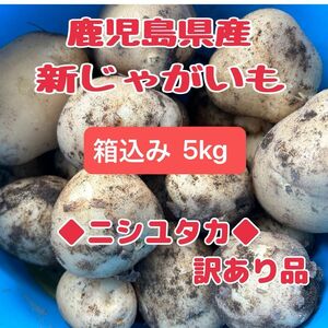 新じゃがいも◆箱込み5kg◆鹿児島県産◆訳あり規格外◆農家直送