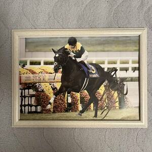  horse racing title holder width mountain . history with autograph A4 photograph amount attaching ikino axle mail .. wistaria rice field . 7 . number actual use horse ticket goods 