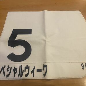 【GGG】競馬 名馬 レプリカゼッケン 『第65回日本ダービー スペシャルウィーク』の画像1