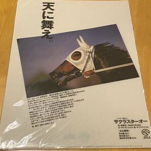 【A】競馬 ヒーロー列伝23 サクラスターオー クリアファイル 非売品の画像1